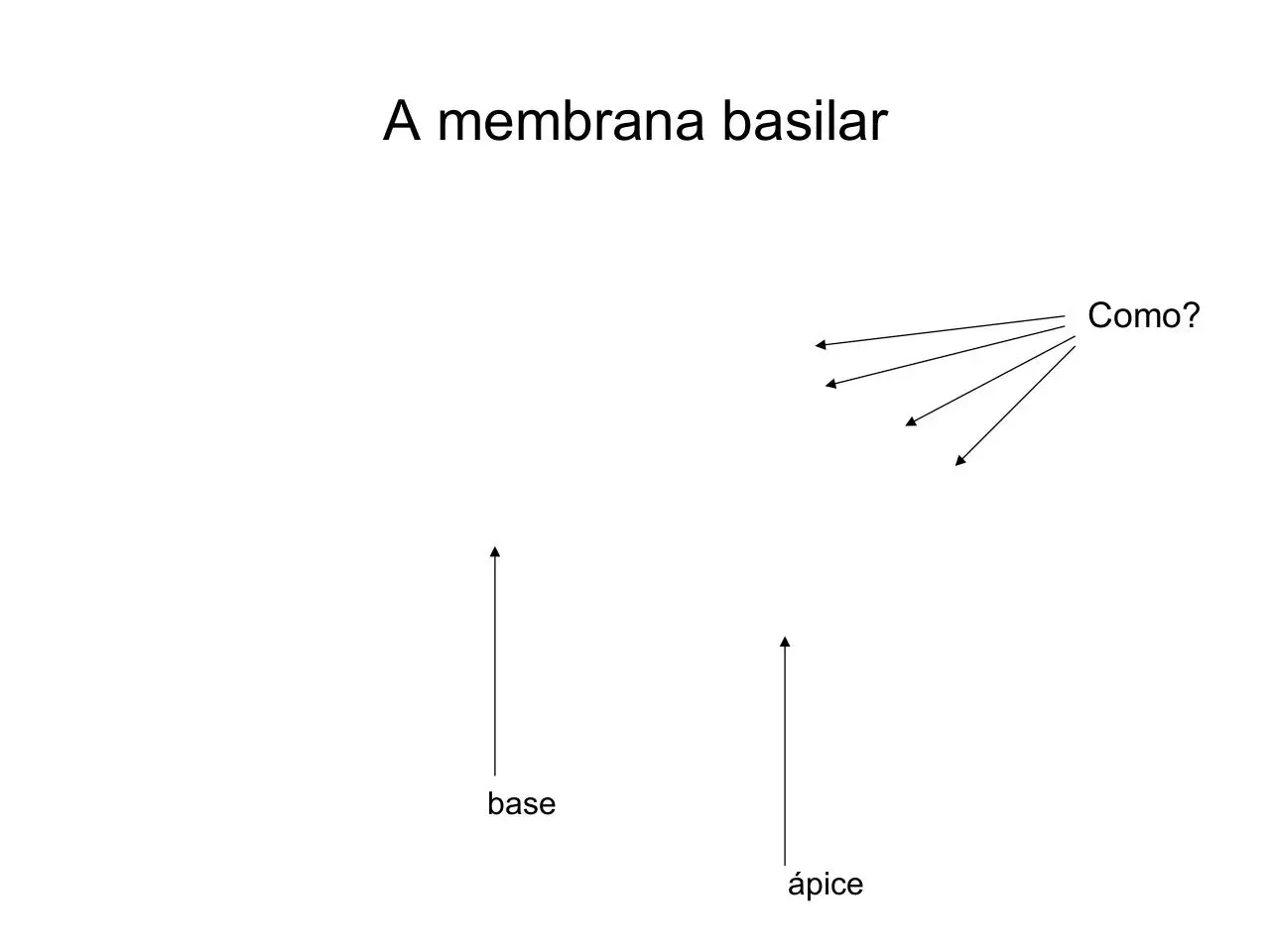 Page 5 of 21, Palestra Castelsardo sem figuras