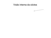 Page 3, Palestra Castelsardo sem figuras