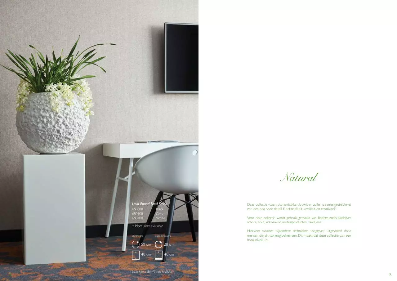 Page 2 of 19, Natural Interieurbeplanting Van der Vleuten