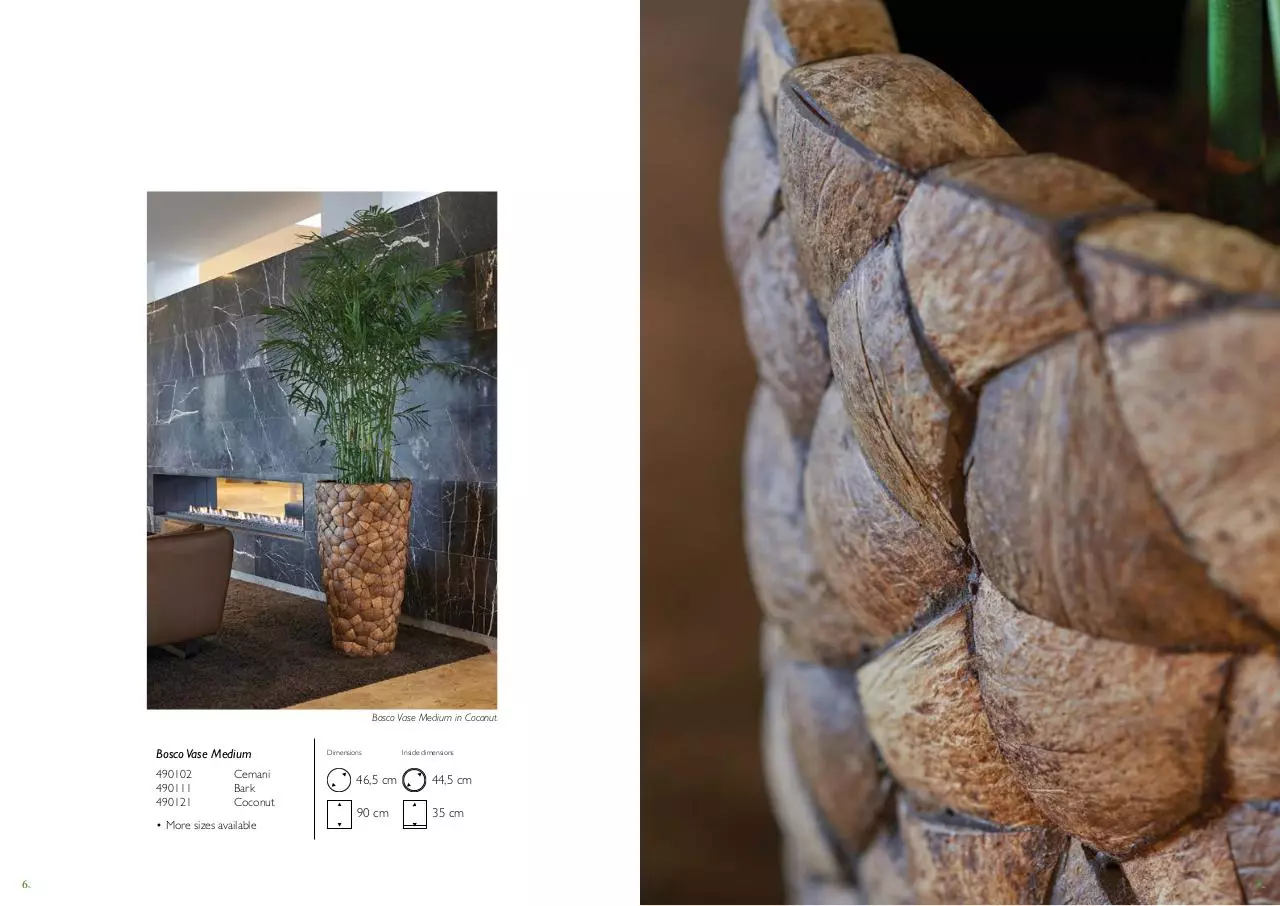 Page 4 of 19, Natural Interieurbeplanting Van der Vleuten