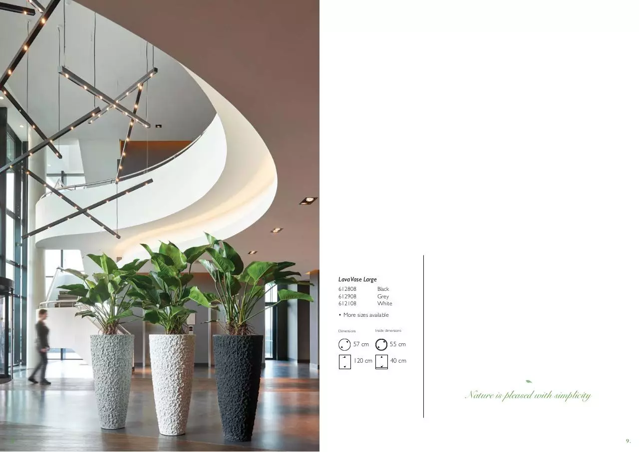 Page 5 of 19, Natural Interieurbeplanting Van der Vleuten