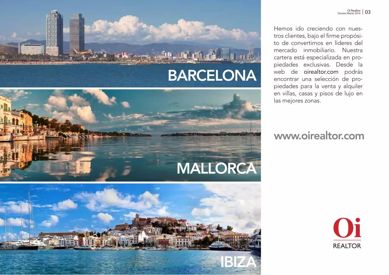 Page 3 of 9, Oi Realtor Dossier