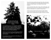 Page 3, PedestrianParking.Issue07.MAR.2016.Double Sided