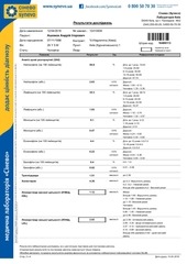 Page 2, SynevoResults16496113