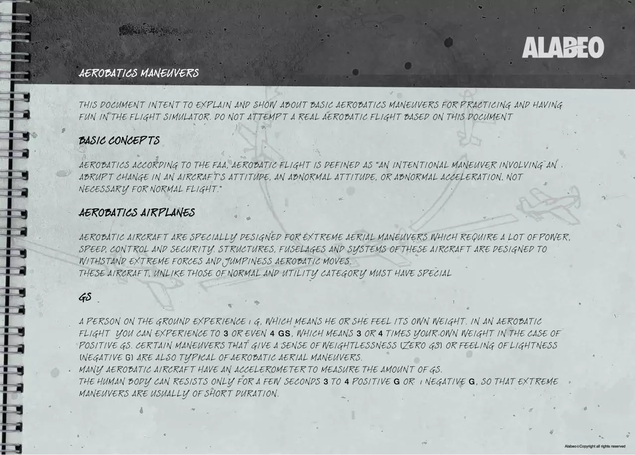 Page 2 of 9, EXTRA 300S Akrobacje