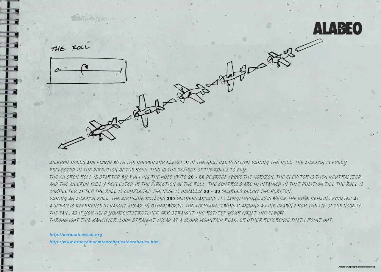 Page 4 of 9, EXTRA 300S Akrobacje