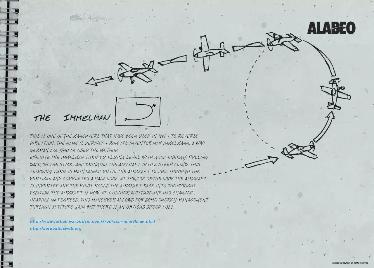 Page 5 of 9, EXTRA 300S Akrobacje