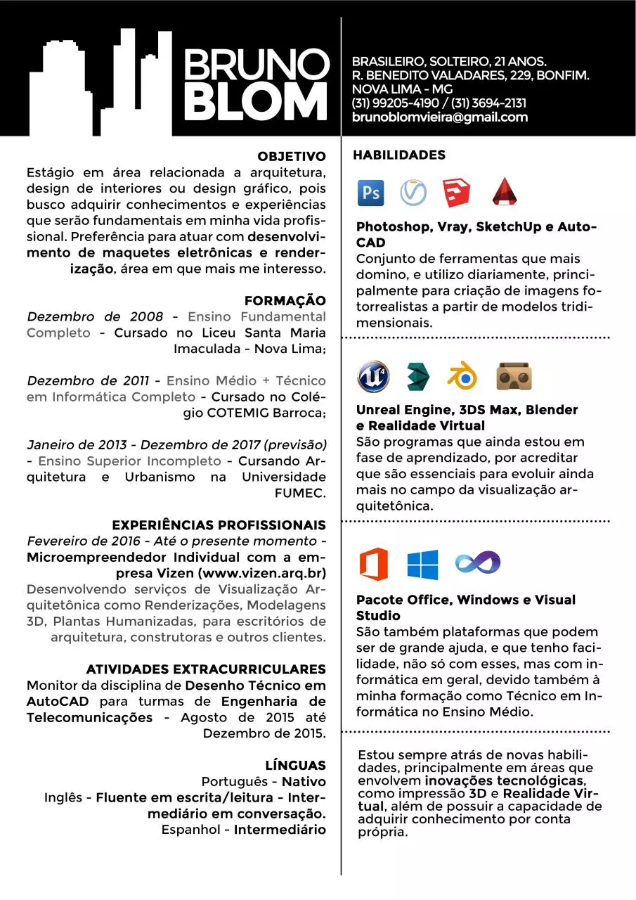 Page 1 of 6, CV Bruno Blom
