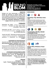Page 1, CV Bruno Blom