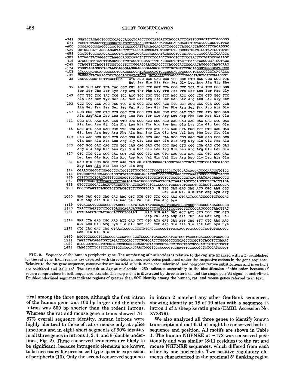 Page 3 of 6, 1 s2.0 S0888754384714108 main