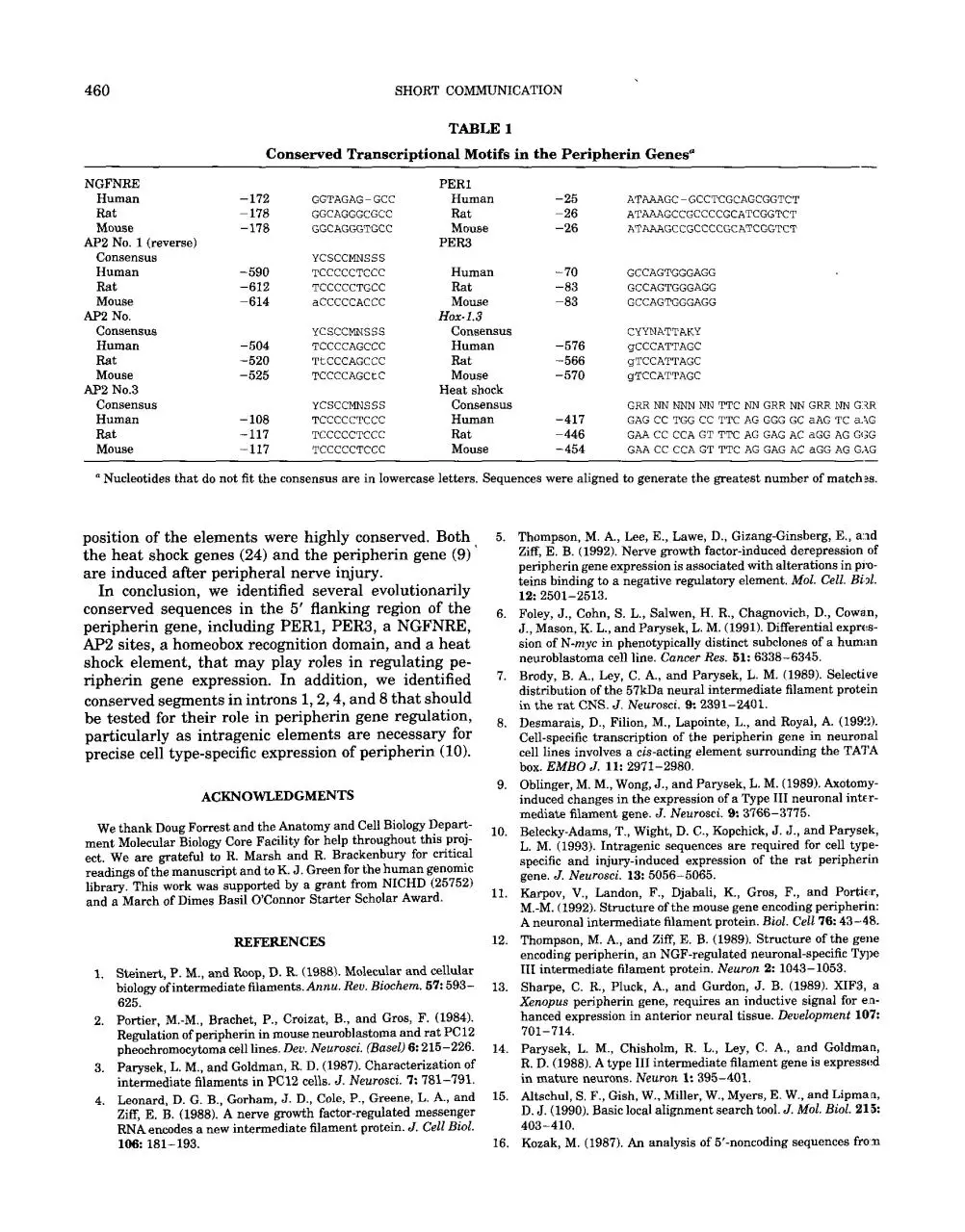 Page 5 of 6, 1 s2.0 S0888754384714108 main