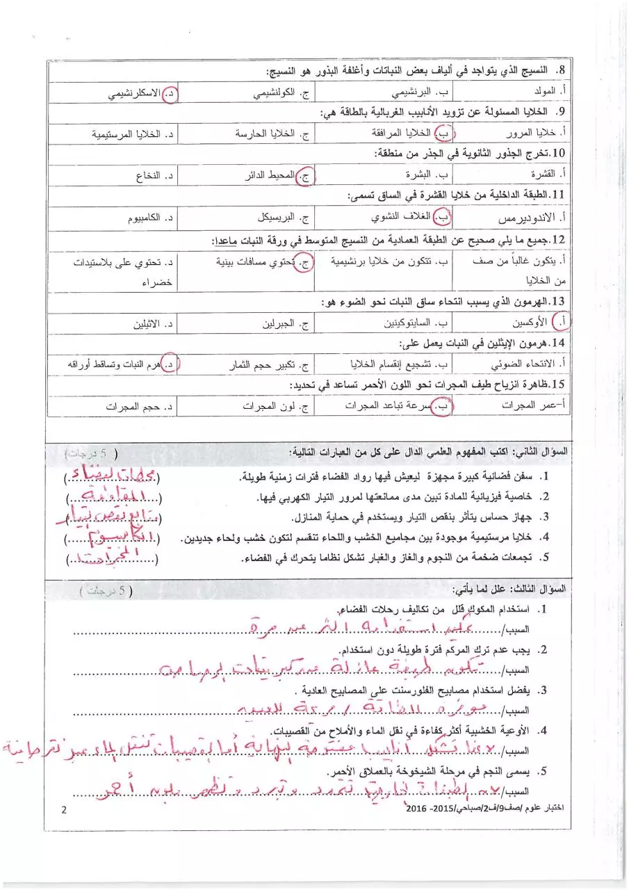 Page 2 of 4, صباحي(1) (1)