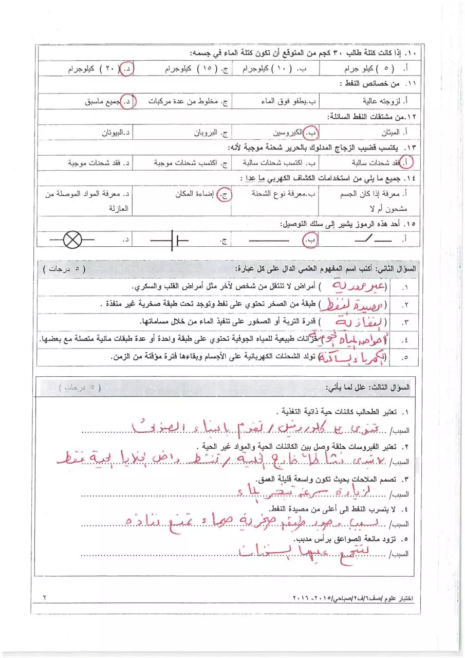 Page 2 of 4, صباحي(1) (2)