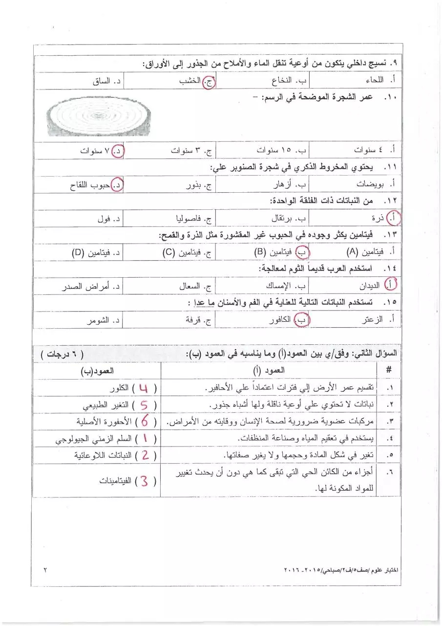 Page 2 of 4, صباحي(1)