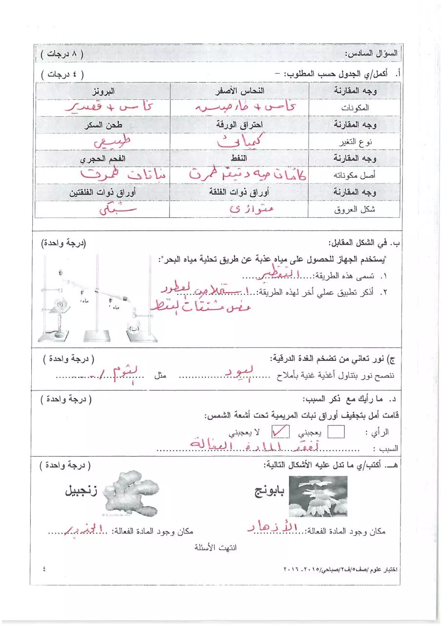 Page 4 of 4, صباحي(1)