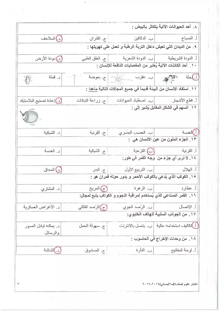 Page 2 of 6, مسائي(1)