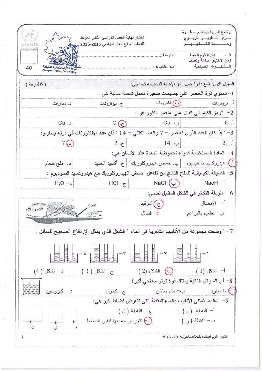 Page 1 of 4, صباحي (1)