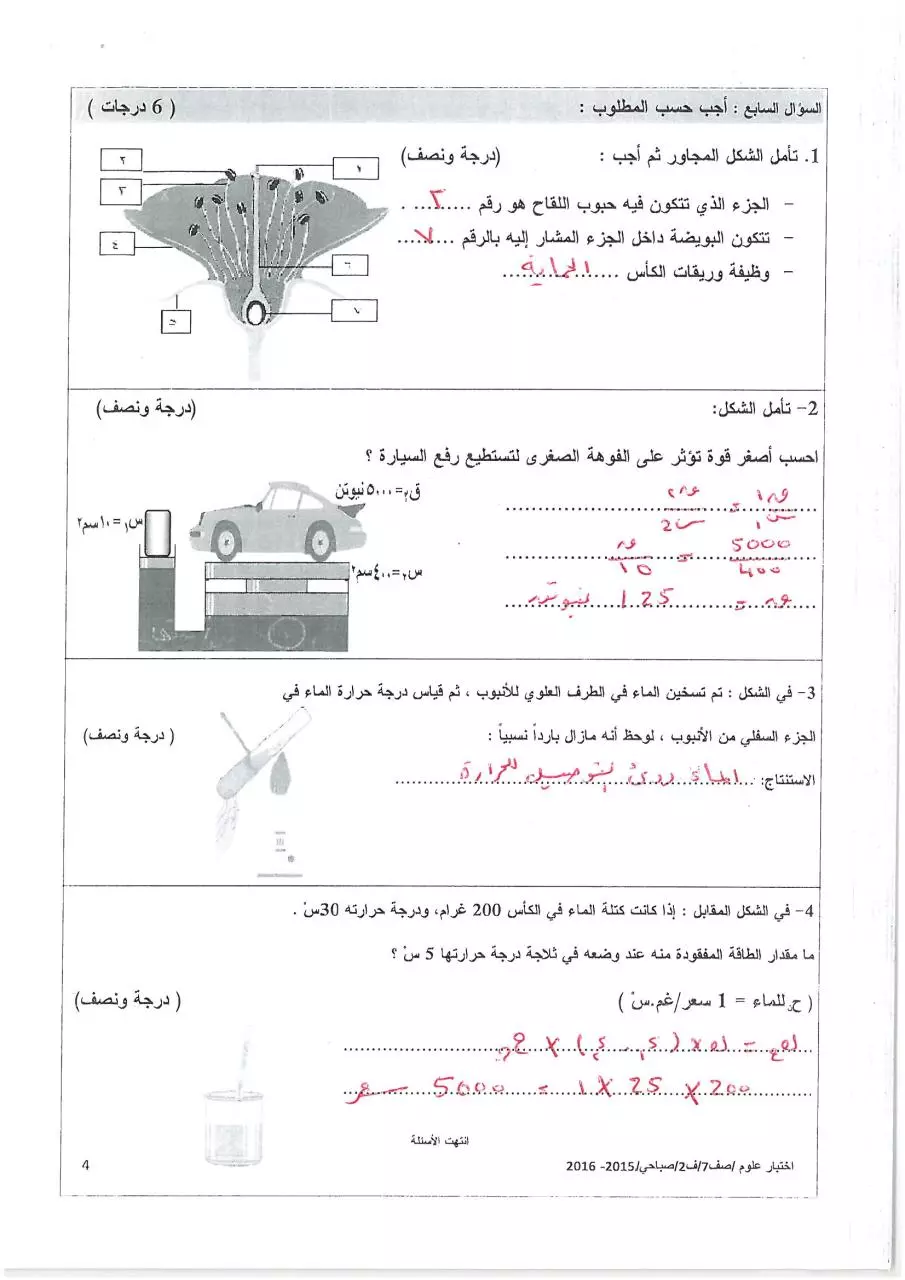 Page 4 of 4, صباحي (1)