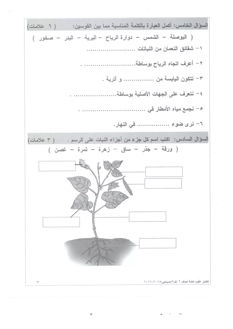 Page 3 of 4, 2 2015 2016 علوم صباحي أول