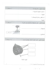 Page 4, 2 2015 2016 علوم صباحي ثالث