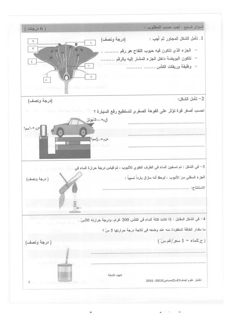 Page 4 of 4, 2 2015 2016 علوم صباحي سابع