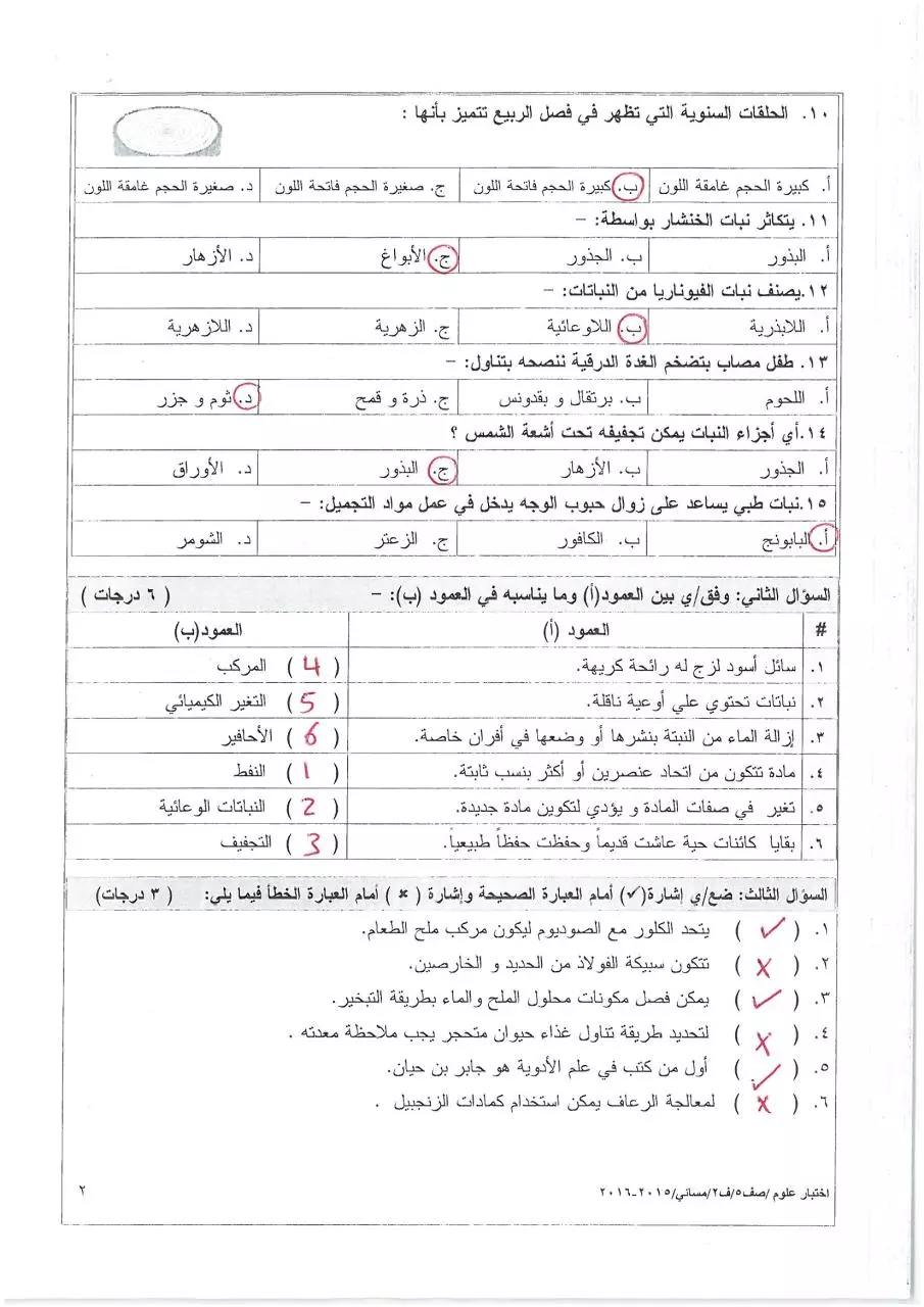Page 2 of 4, مسائي(2) (3)