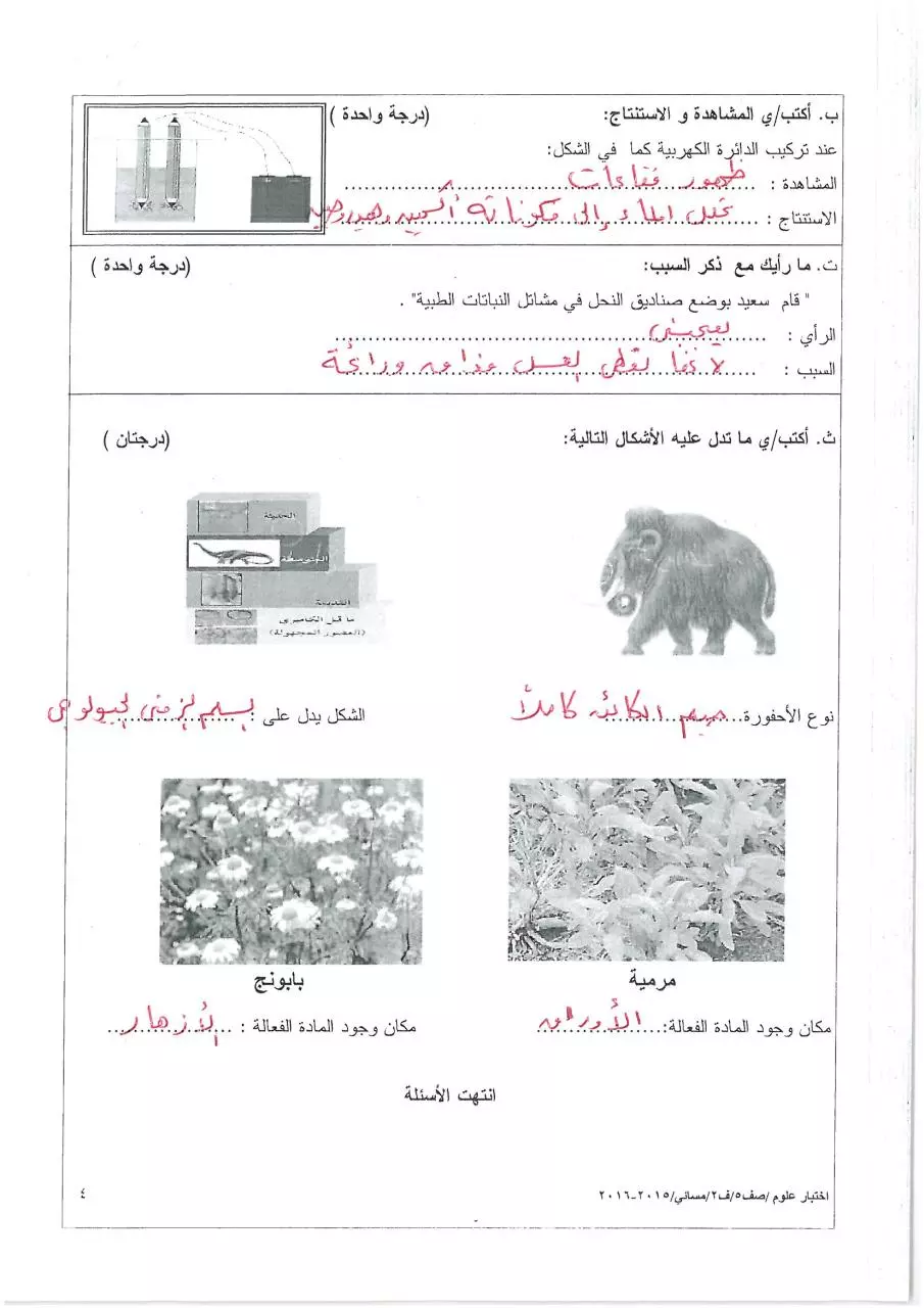 Page 4 of 4, مسائي(2) (3)
