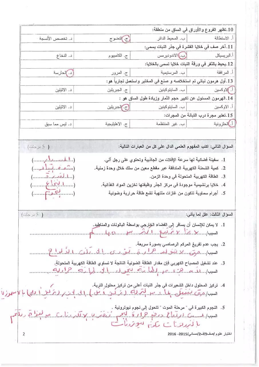 Page 2 of 4, مسائي(2)