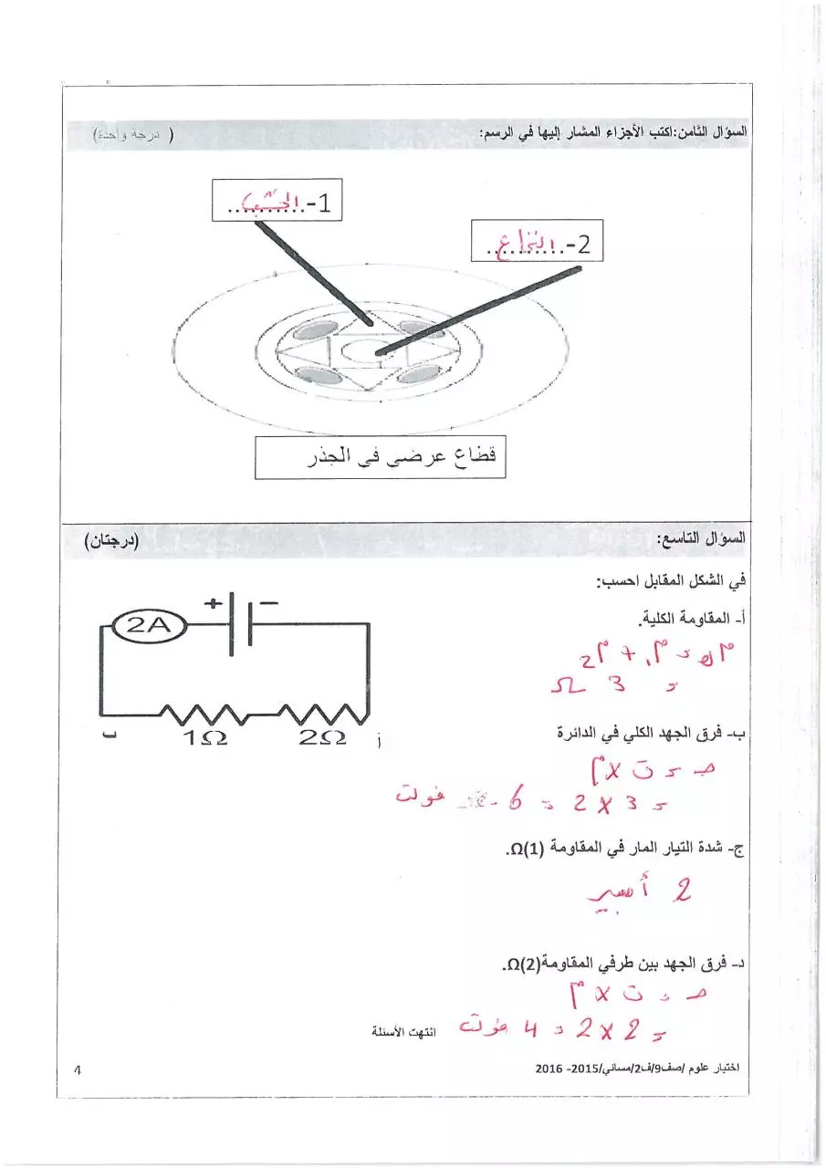 Page 4 of 4, مسائي(2)