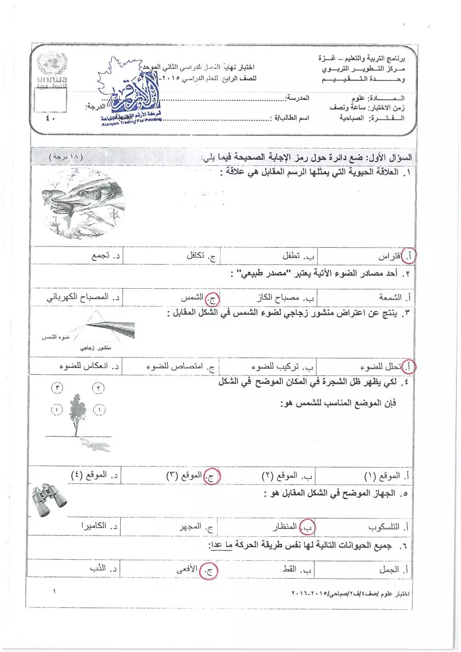 Page 1 of 6, صباحي (2)