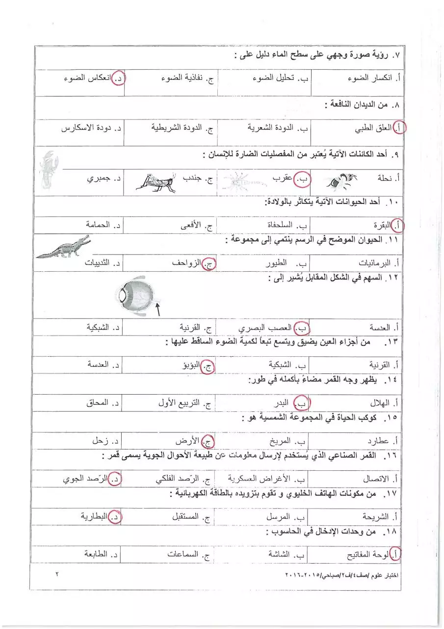 Page 2 of 6, صباحي (2)
