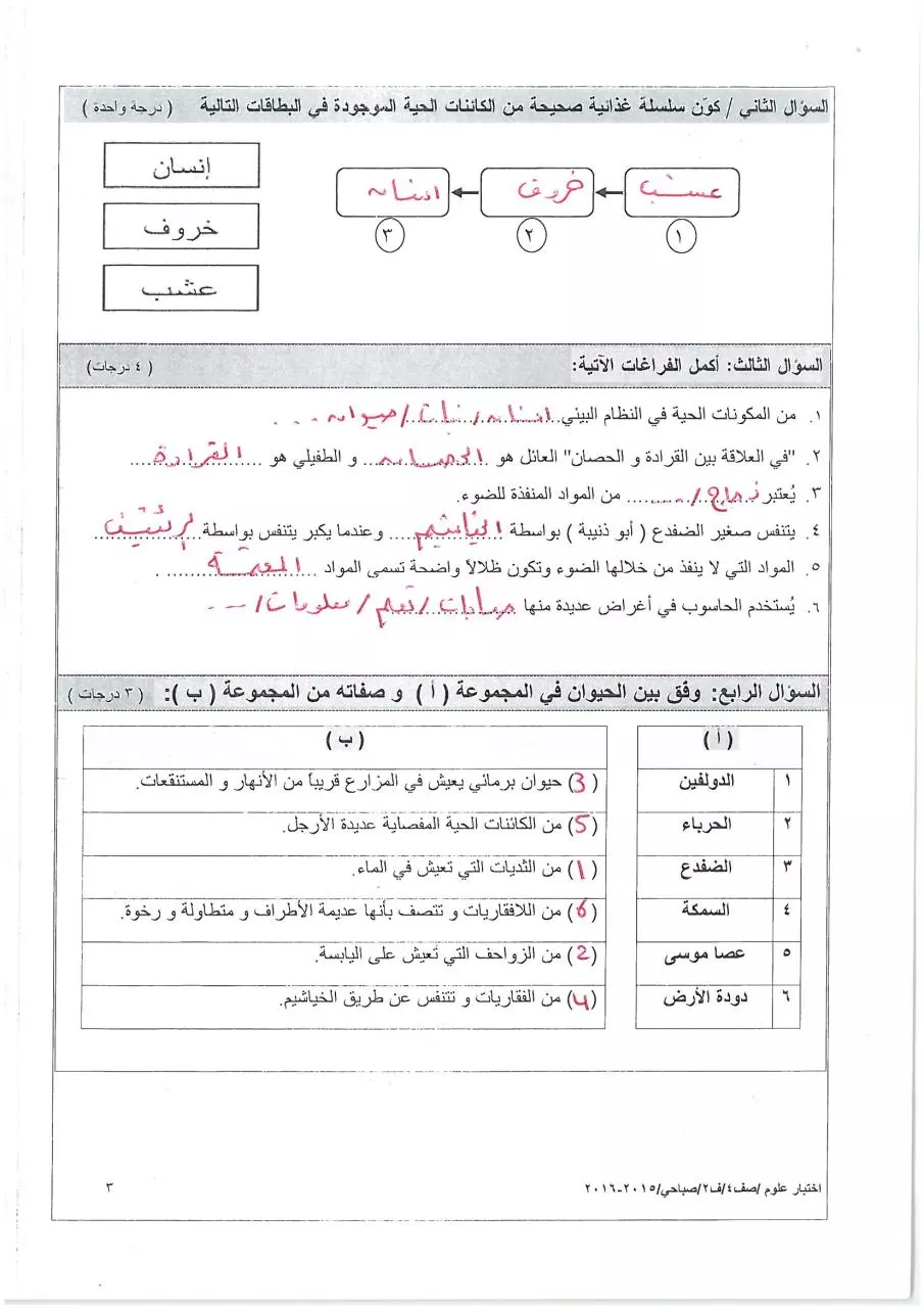 Page 3 of 6, صباحي (2)