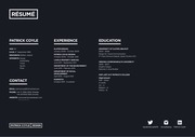 Page 2, Patrick Coyle Portfolio