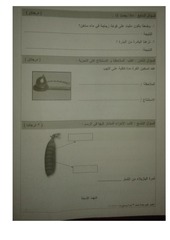 Page 4, علوم ثالث