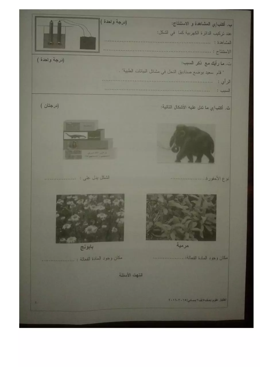 Page 4 of 4, علوم خامس
