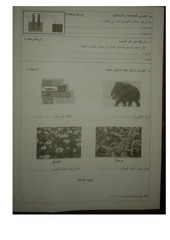 Page 4, علوم خامس