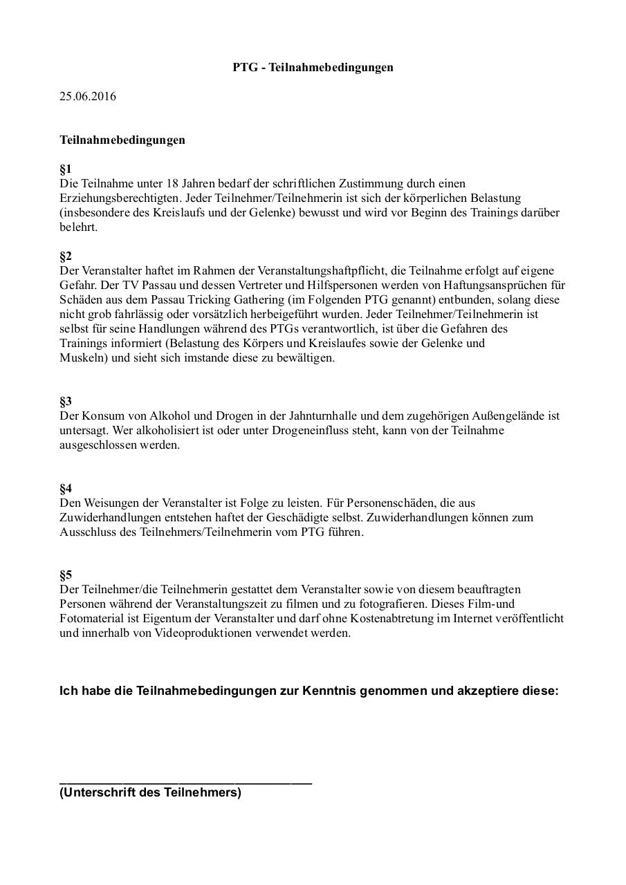 Document preview EinverstÃ¤ndniserklÃ¤rung.pdf - page 1/2