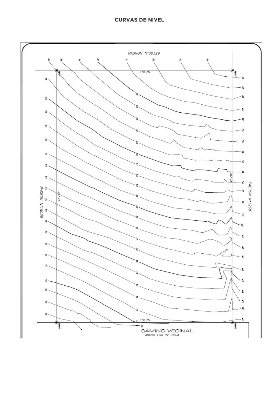 Page 3 of 8, Chacra Tamarix