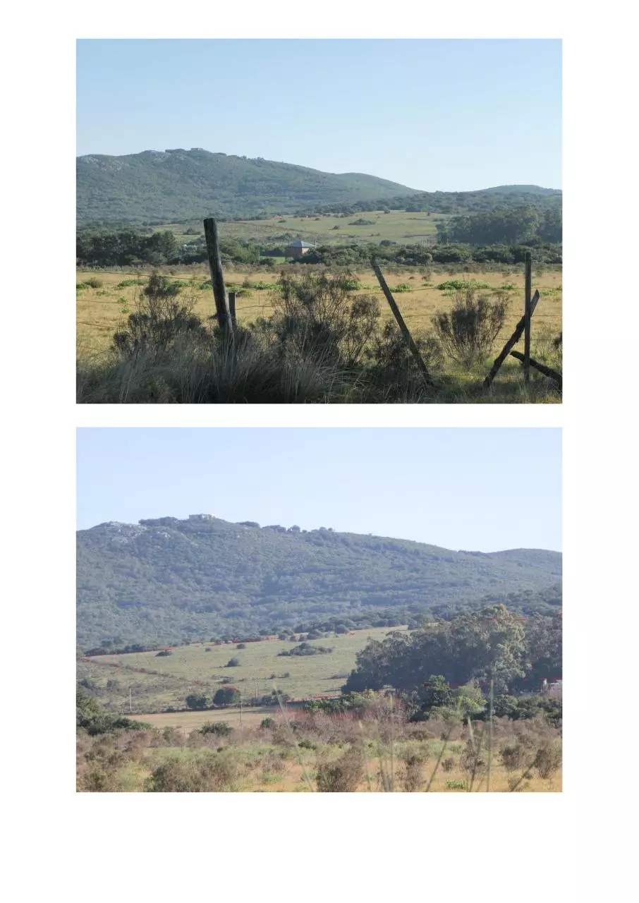 Page 4 of 8, Chacra Tamarix