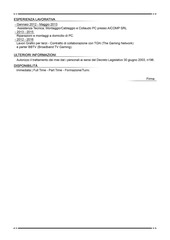 Page 2, CV DavideAtzei