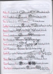 Page 5, FRANCES