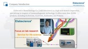 Page 4, elabscience introduction pdf