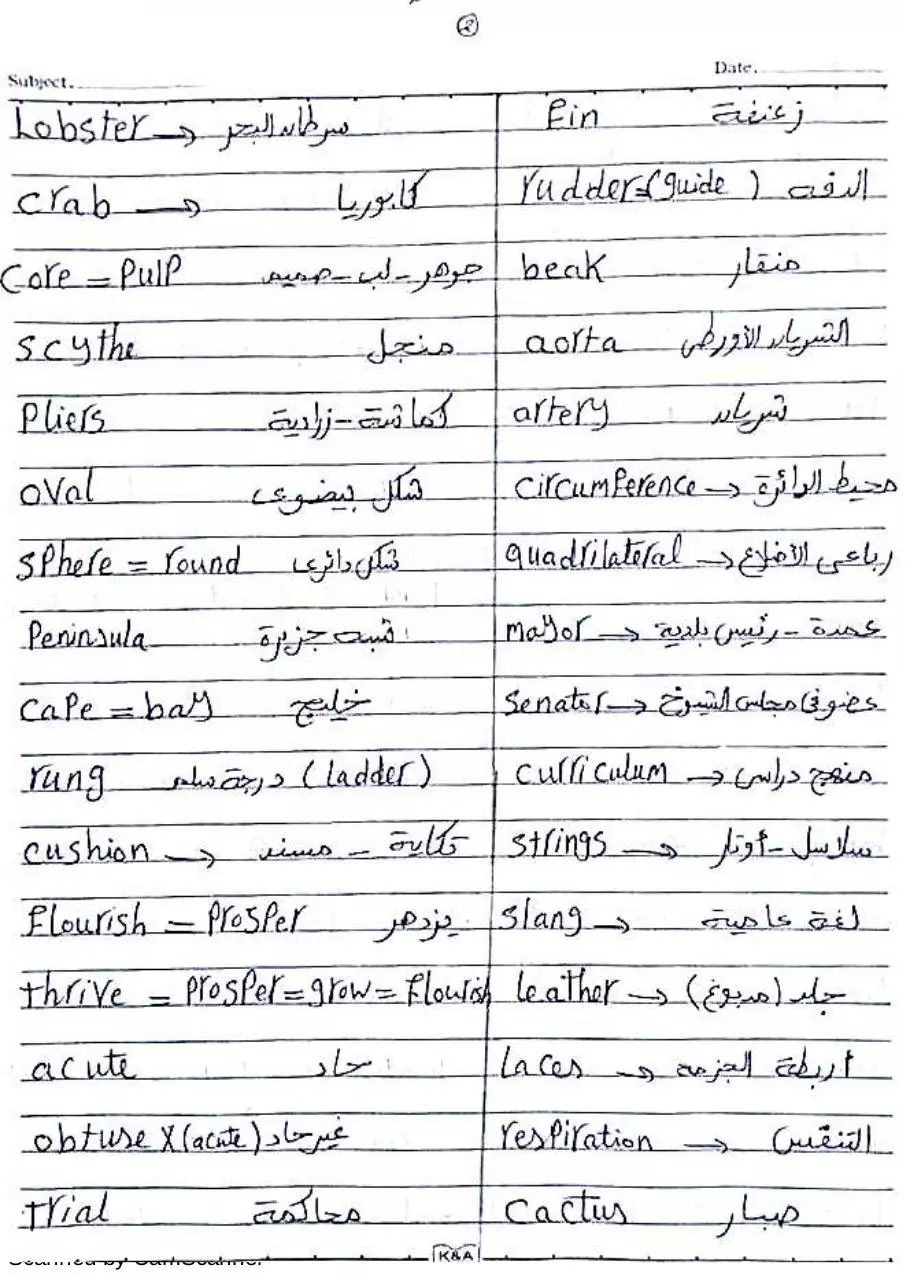 Page 2 of 9, 501 vocab