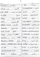 Page 2, 501 vocab