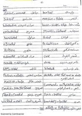 Page 5, 501 vocab