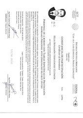 Page 3, Certificate of SSO,ECDIS #10