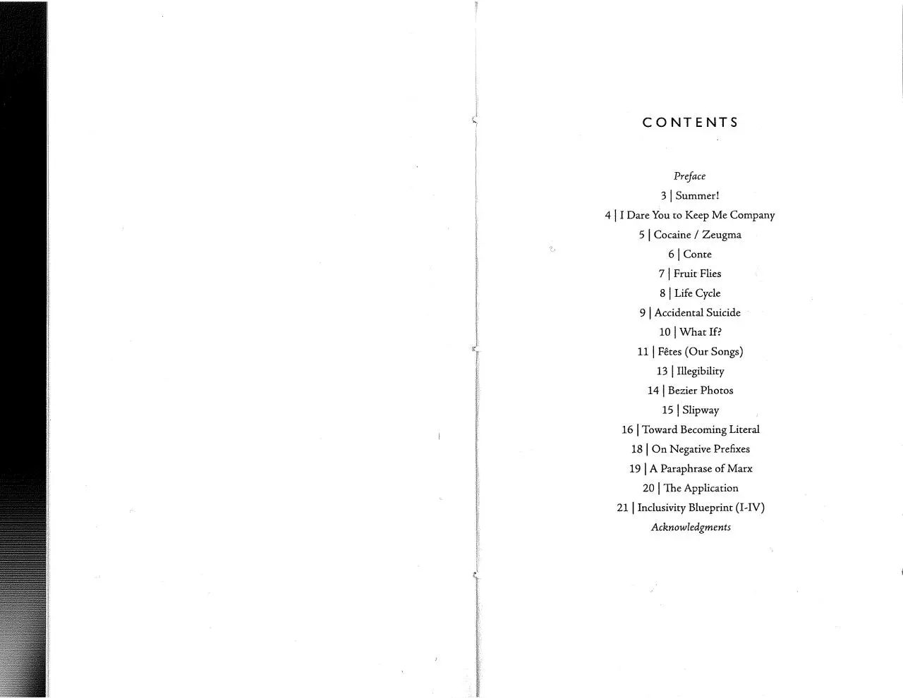 Page 4 of 18, InclusivityBlueprint Schluter Diez2015