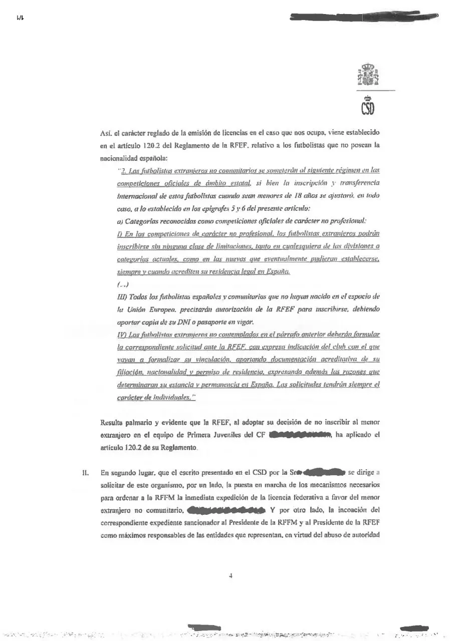 Page 4 of 10, Resolucion CSD menores 17316