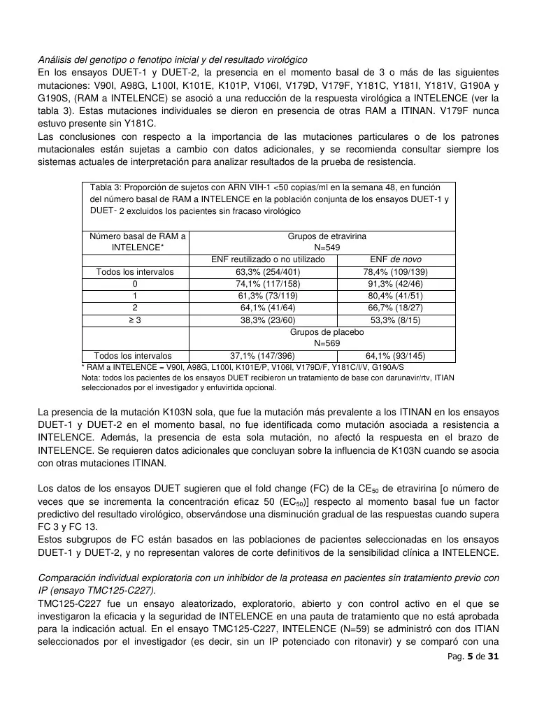 Page 5 of 31, prospectoIntelenceArgentina