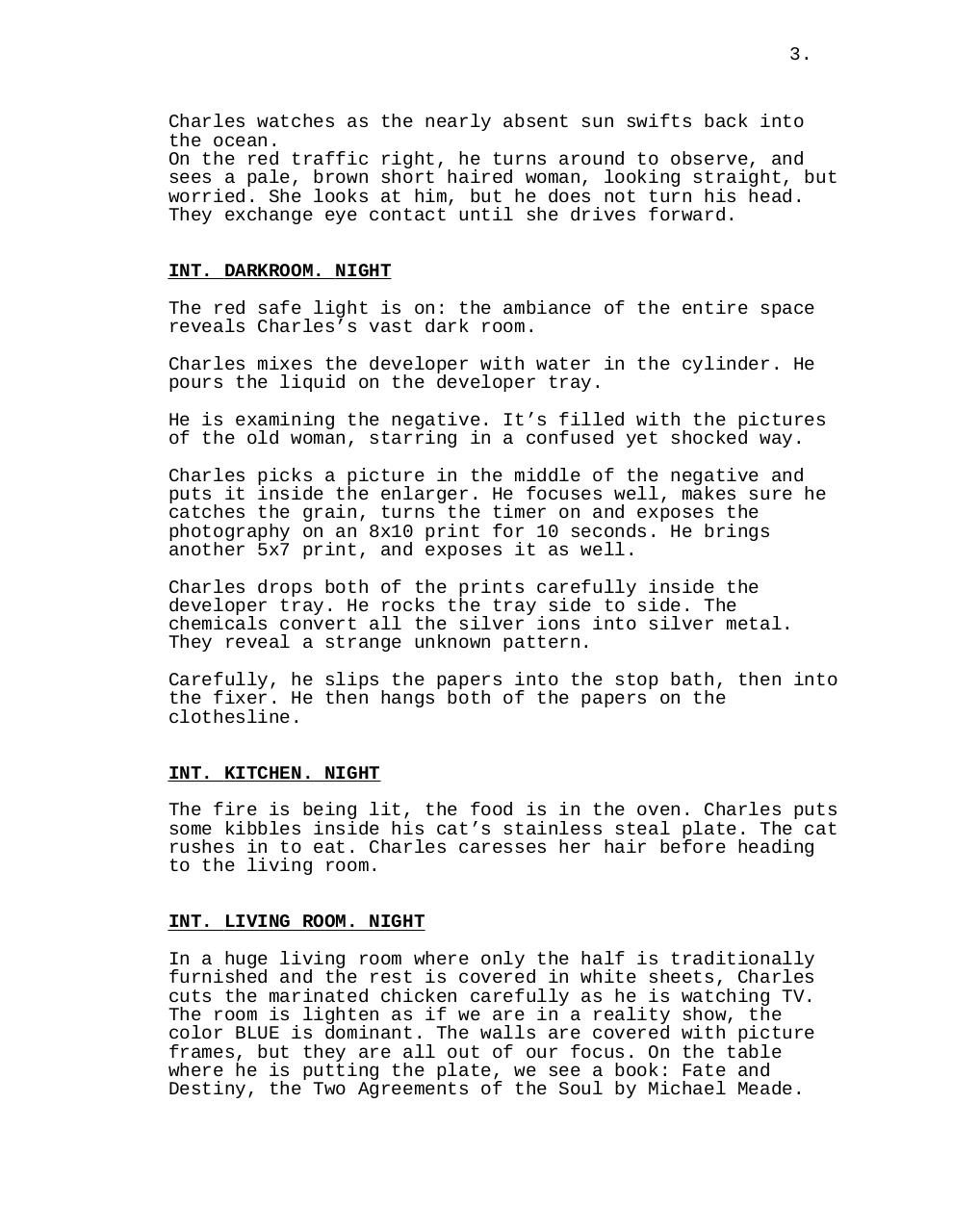 Screenplay.pdf - page 4/12
